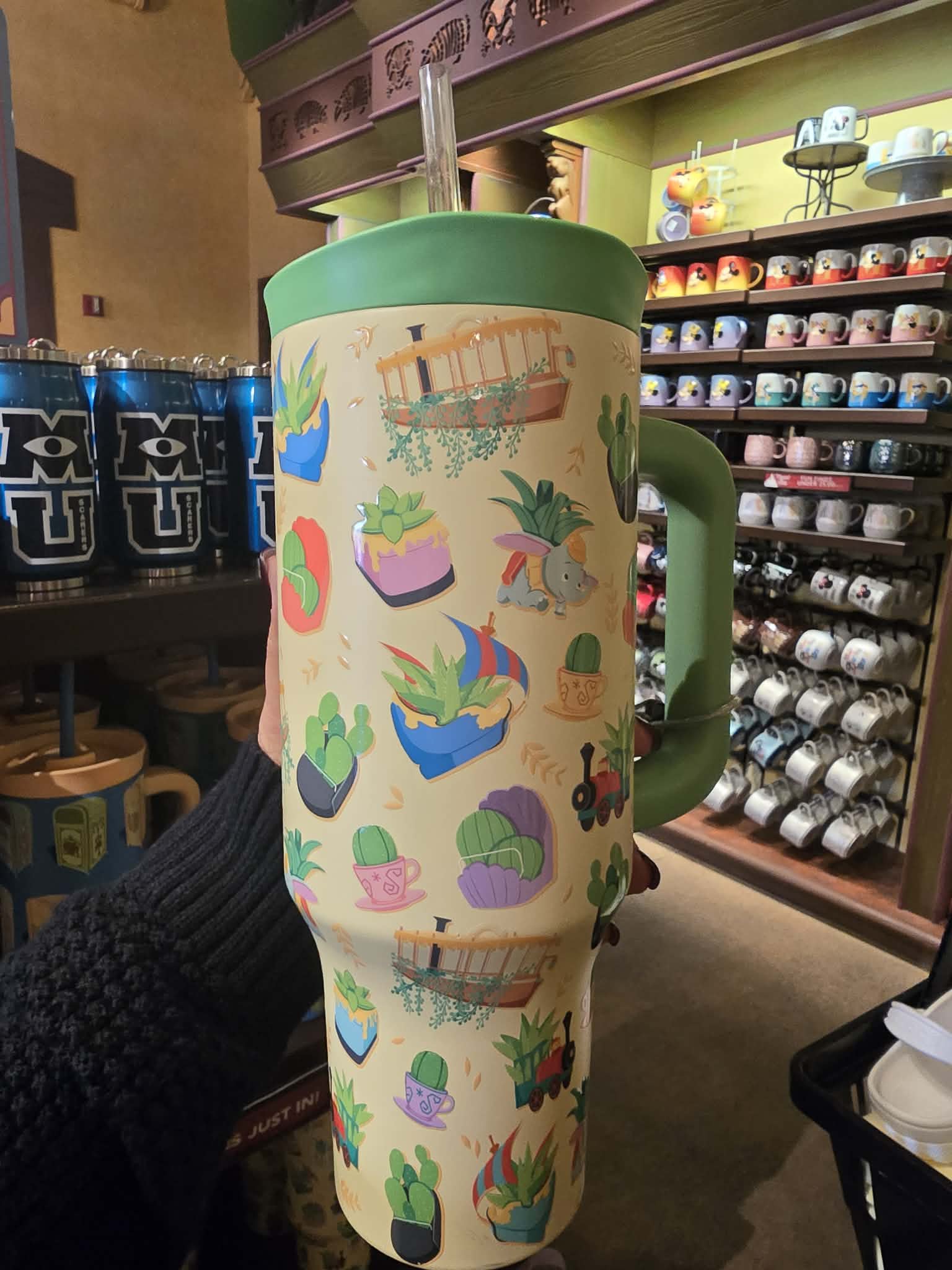 Magic Kingdom Ride Vehicles Planters Tumbler - 40 oz