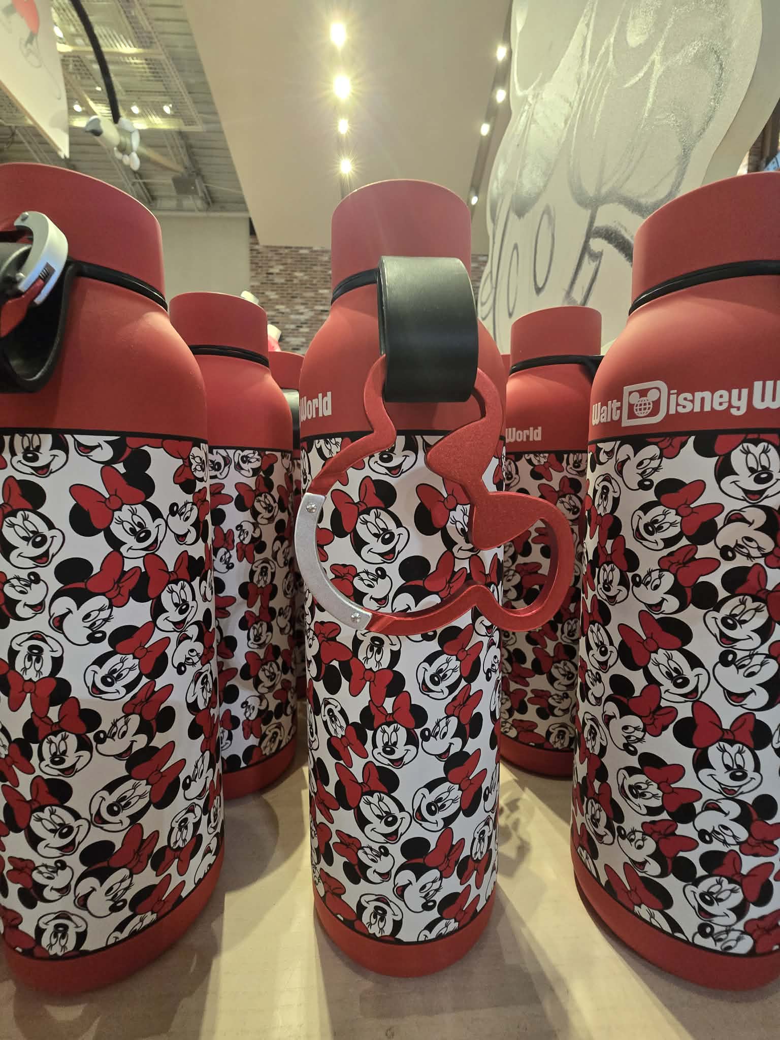 Minnie Mouse Pattern Stainless Steel Water Bottle