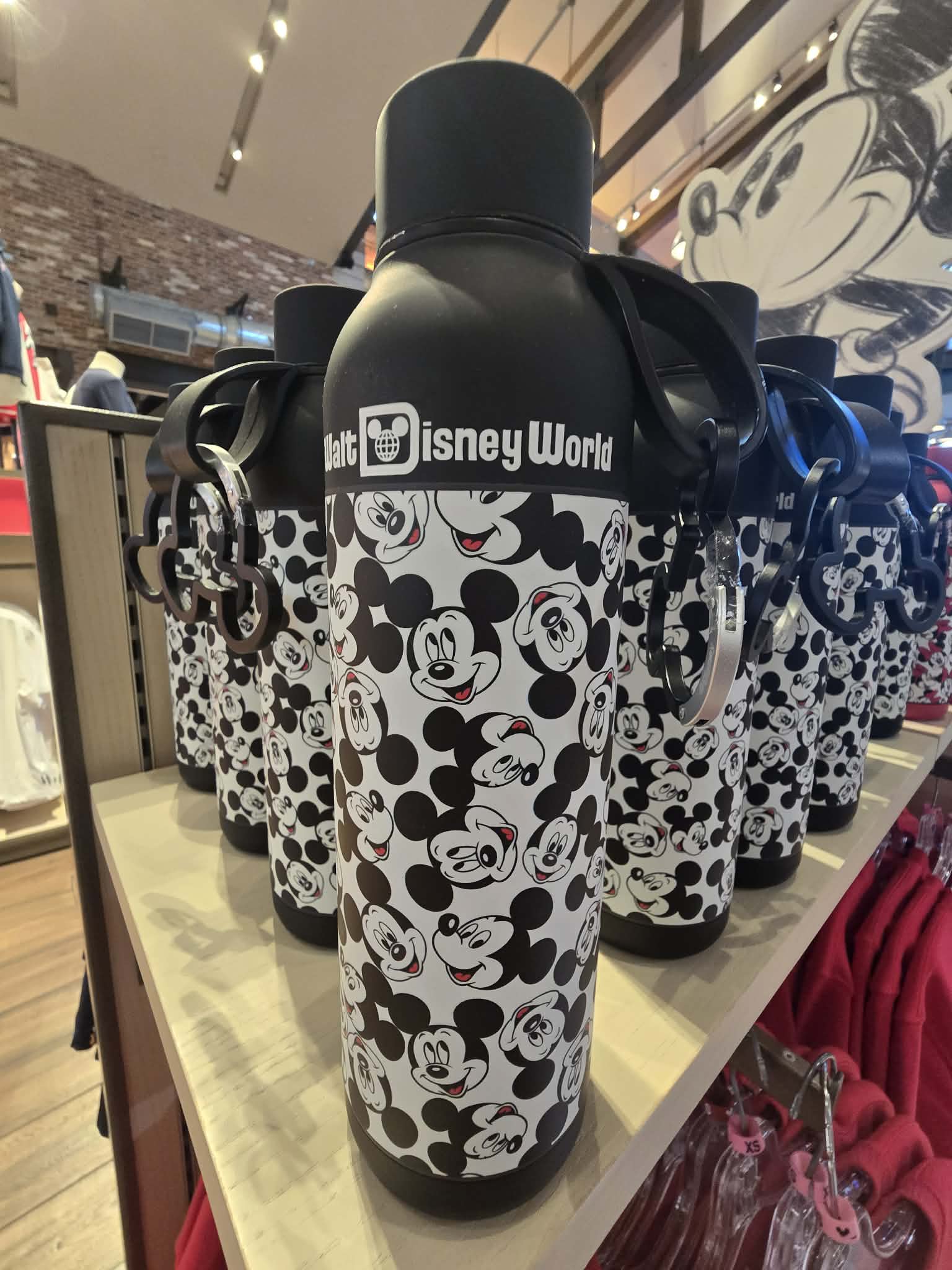 Mickey Mouse Pattern Stainless Steel Water Bottle
