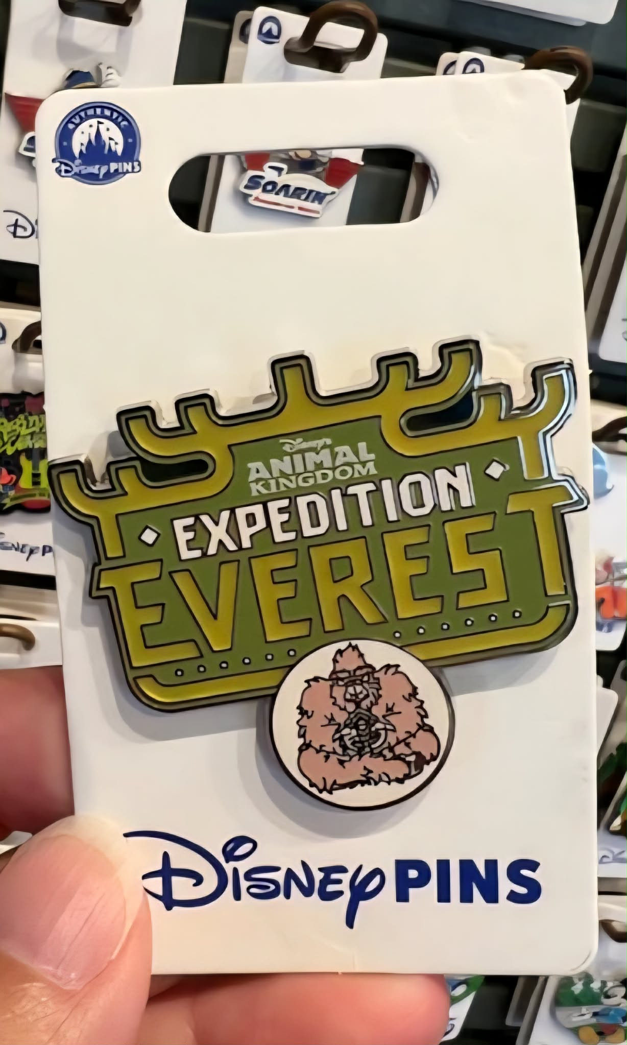 Expedition Everest Disney Pin