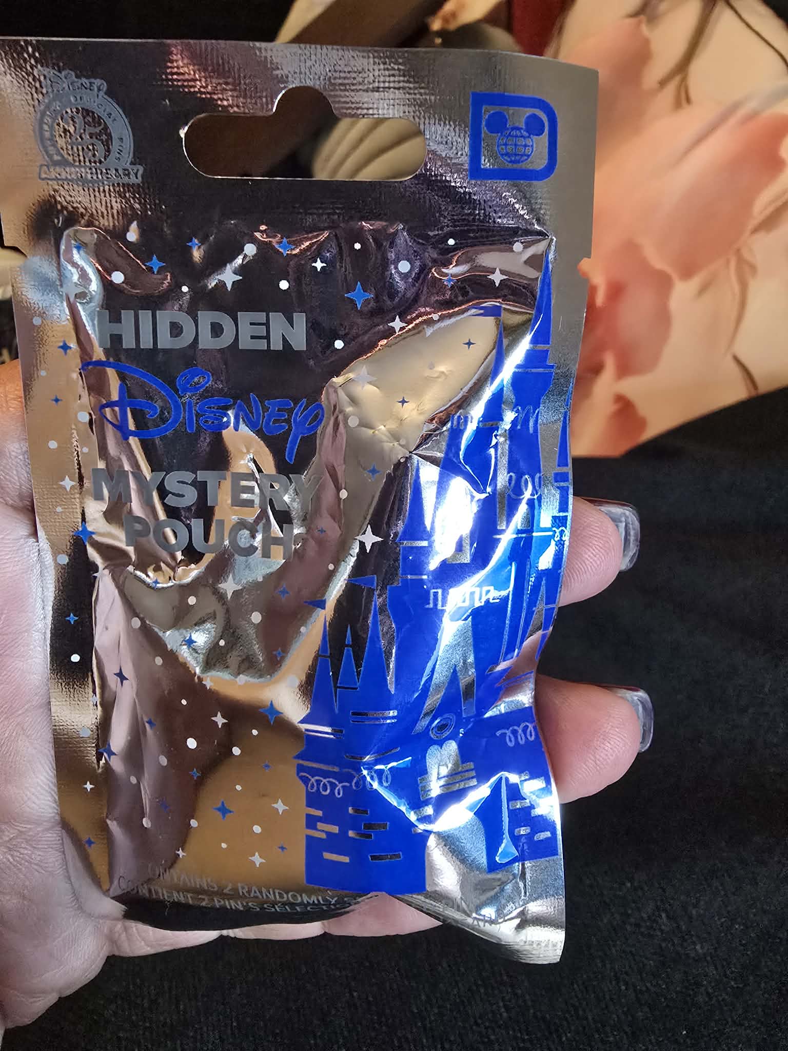 2025 Hidden Disney Wave A Mystery Pin Pouch