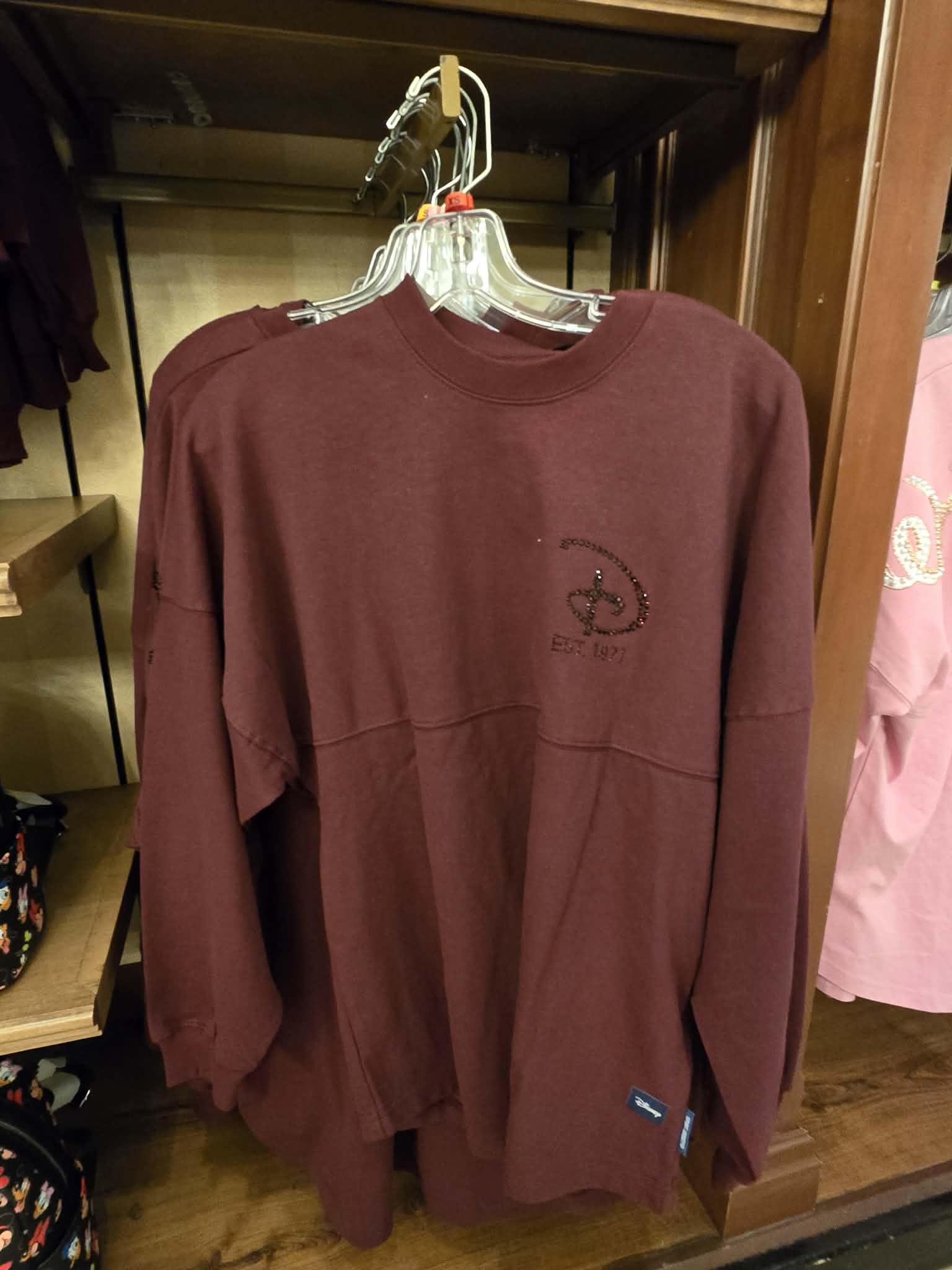 Walt Disney World Rhinestone Adult Spirit Jersey
