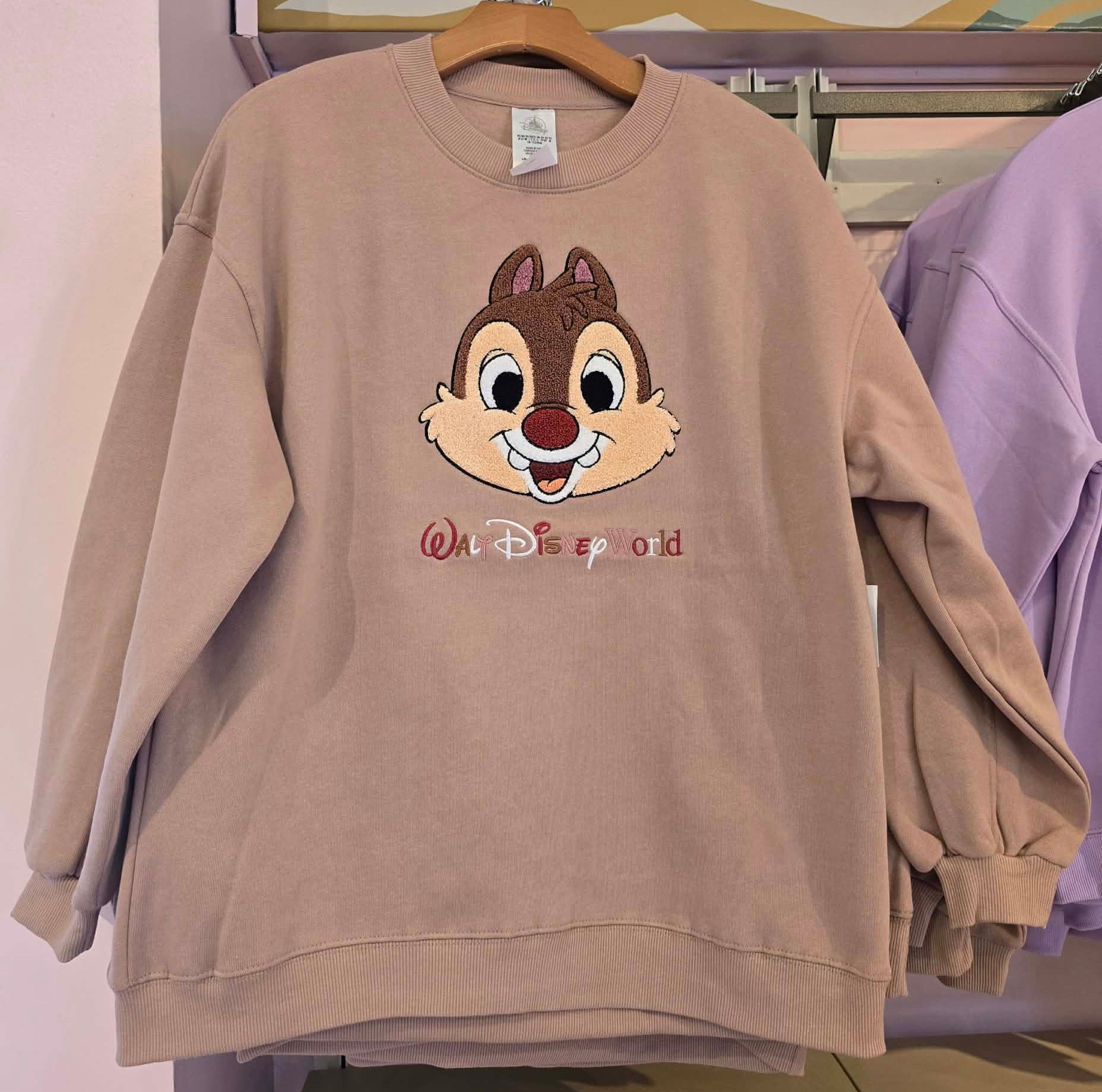 Fleece Dale Walt Disney World Adult Sweatshirt