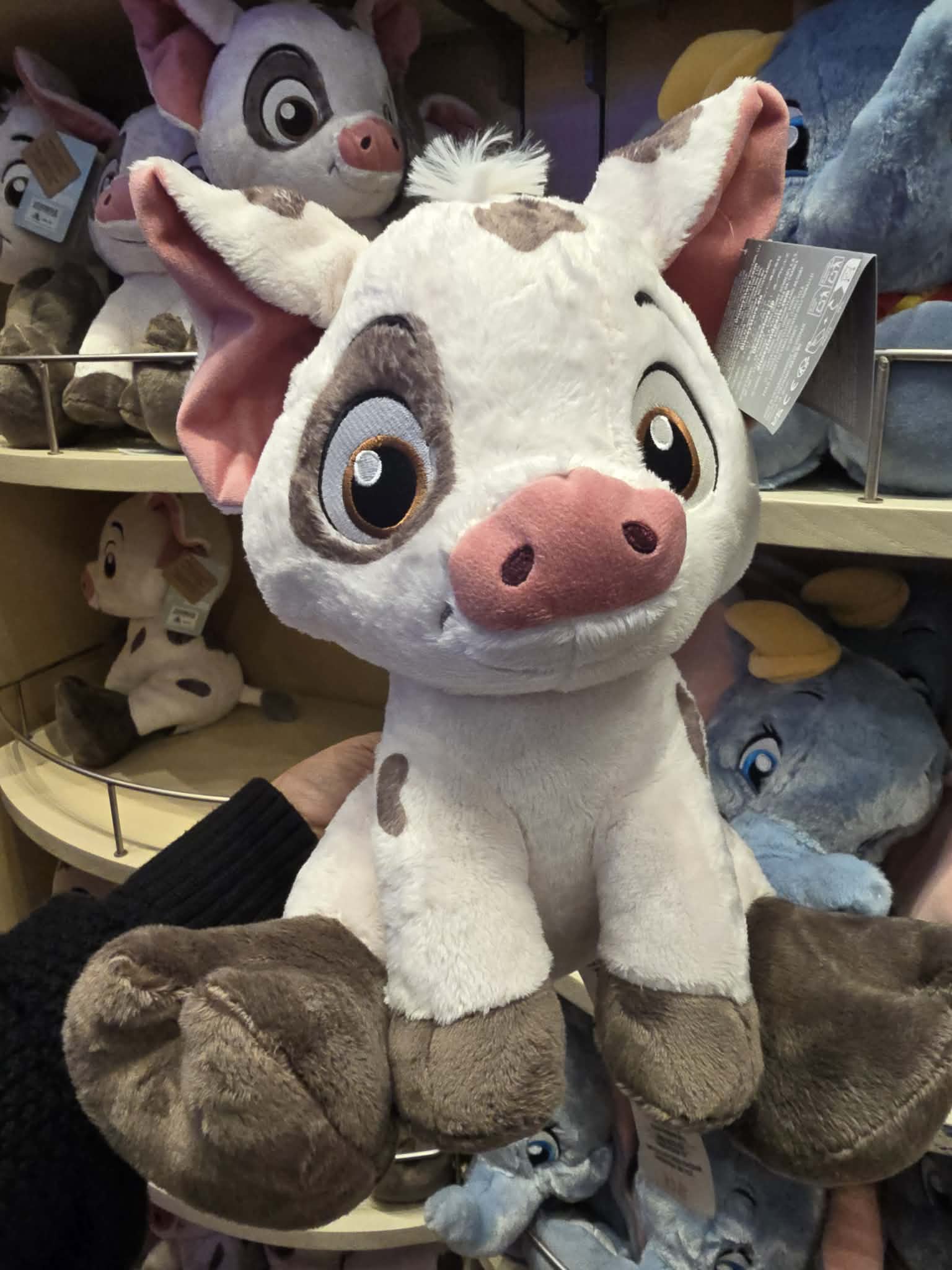 Pua Big Feet Disney Plush