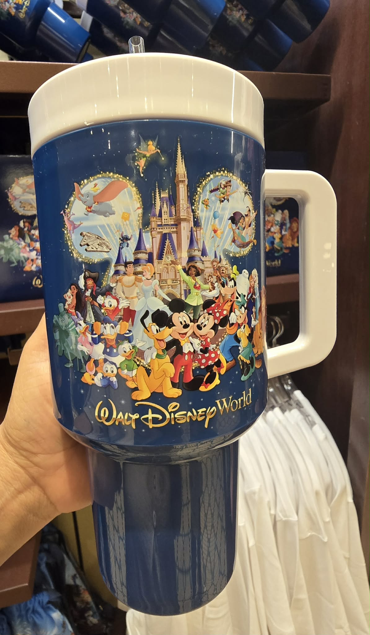 Disney Characters Tumbler