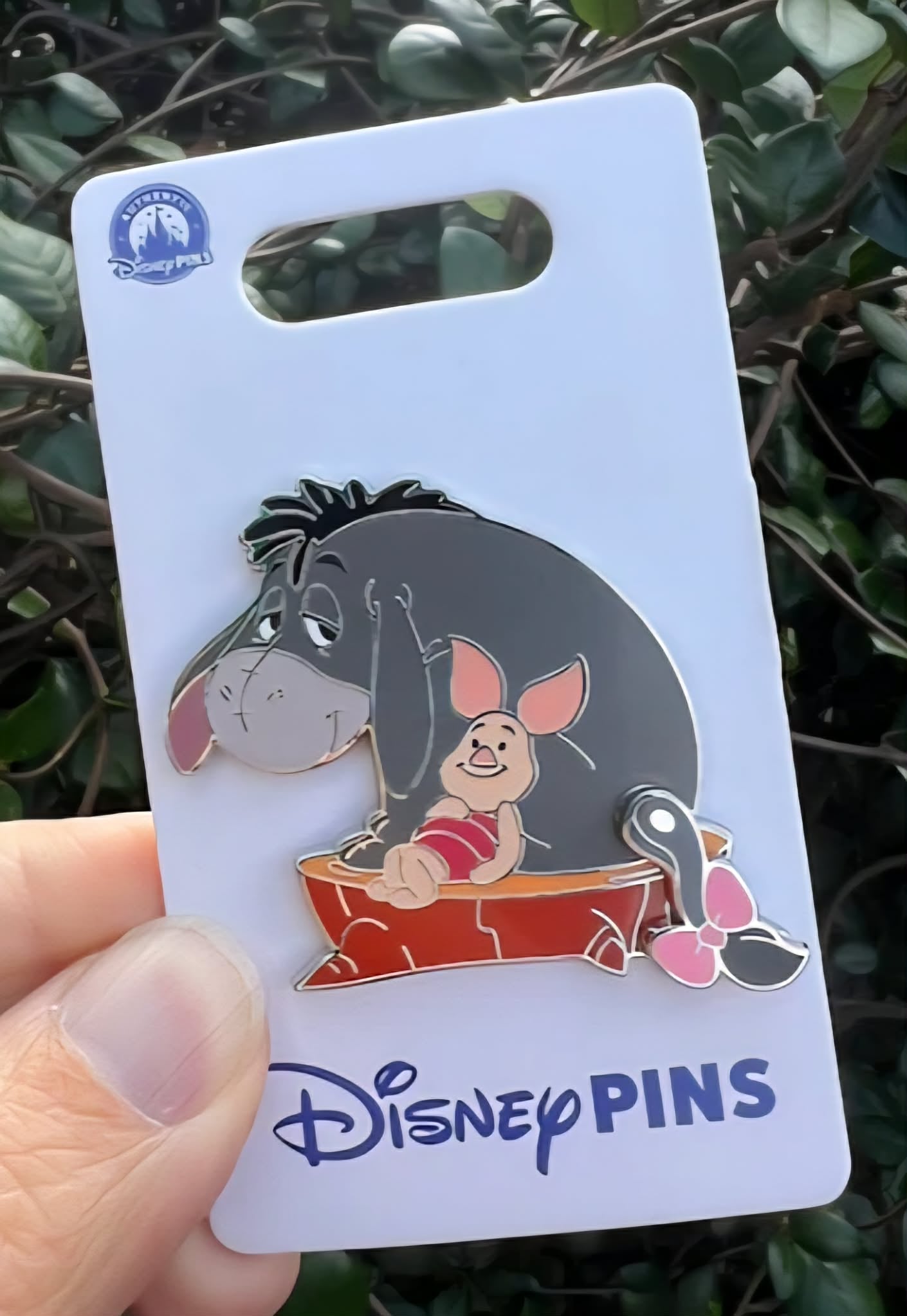 Eeyore and Piglet Disney Pin